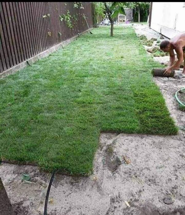 Gazon rulou extra calitate