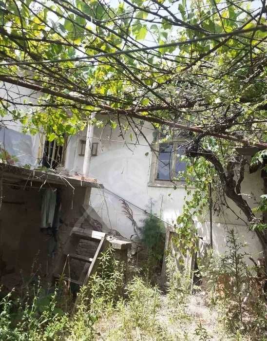 Къща в Кръстевич 88060