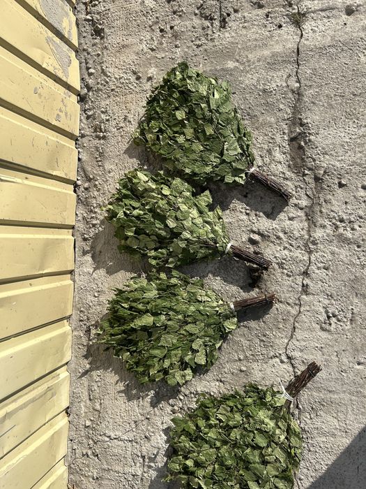 Банные веники . Веники для бани