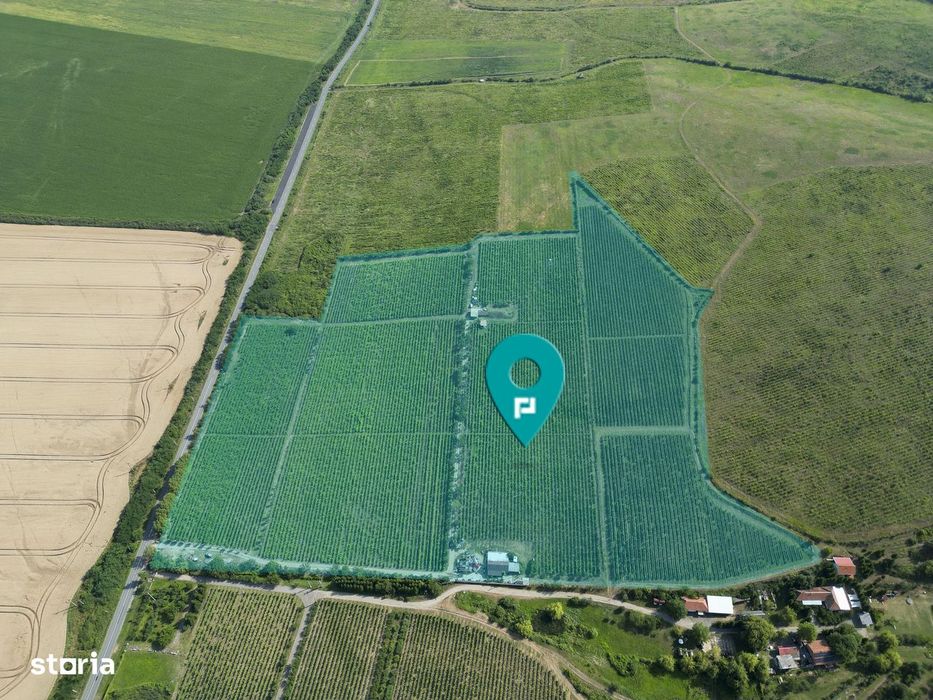 Vie Tradițională „Halta Lupilor”