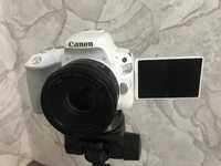 Комплект для видео. Canon 200d + Ef 50mm Дымогенератор и штатив