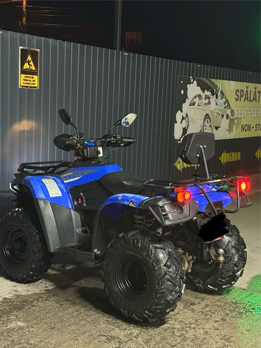 Linhai Dragonflay 300 4x4