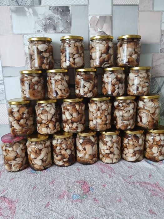 Продам валуи грибочки.