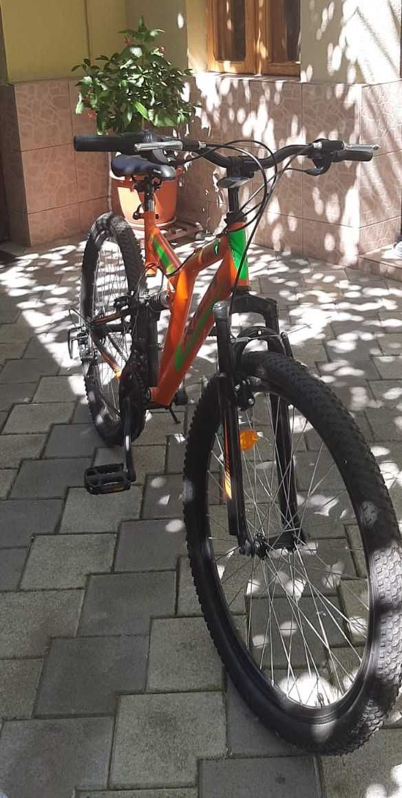 Bicicleta pentru Adulti