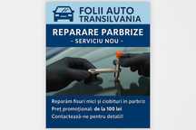 Reparatii parbriz