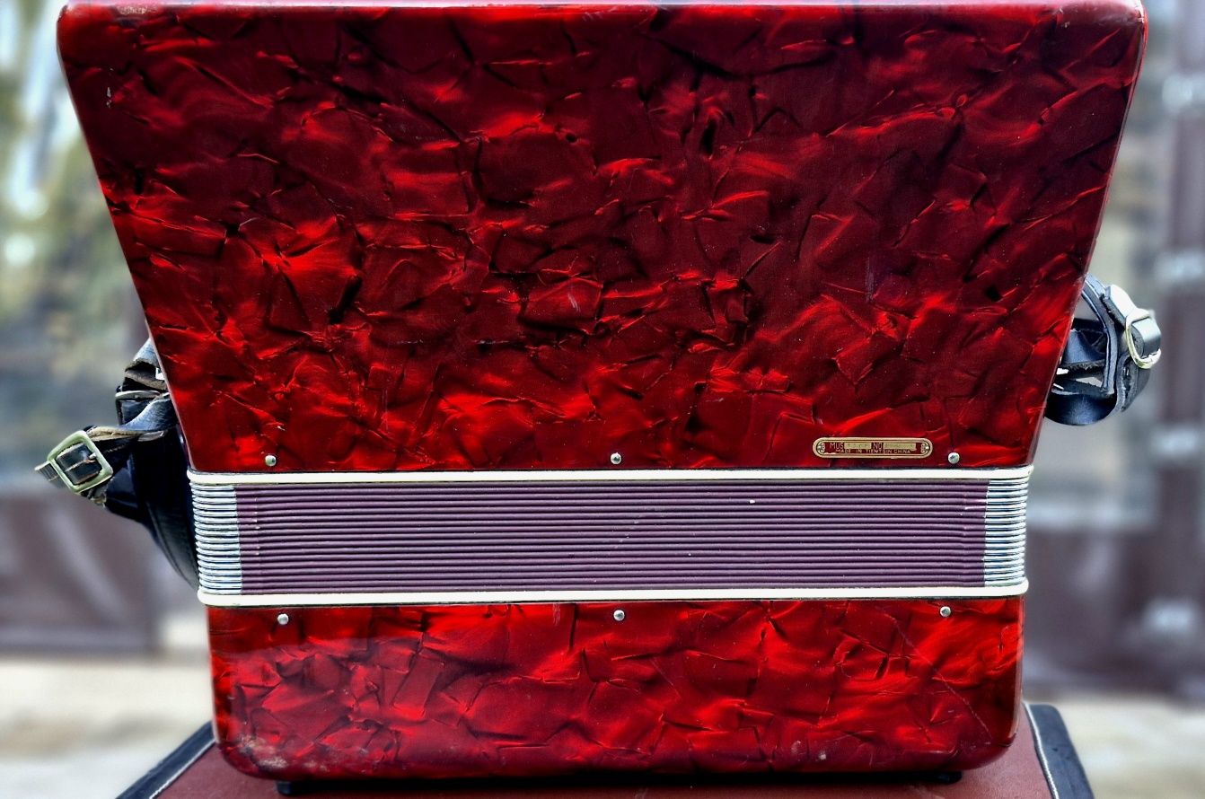 Acordeon Parrot 60 basi