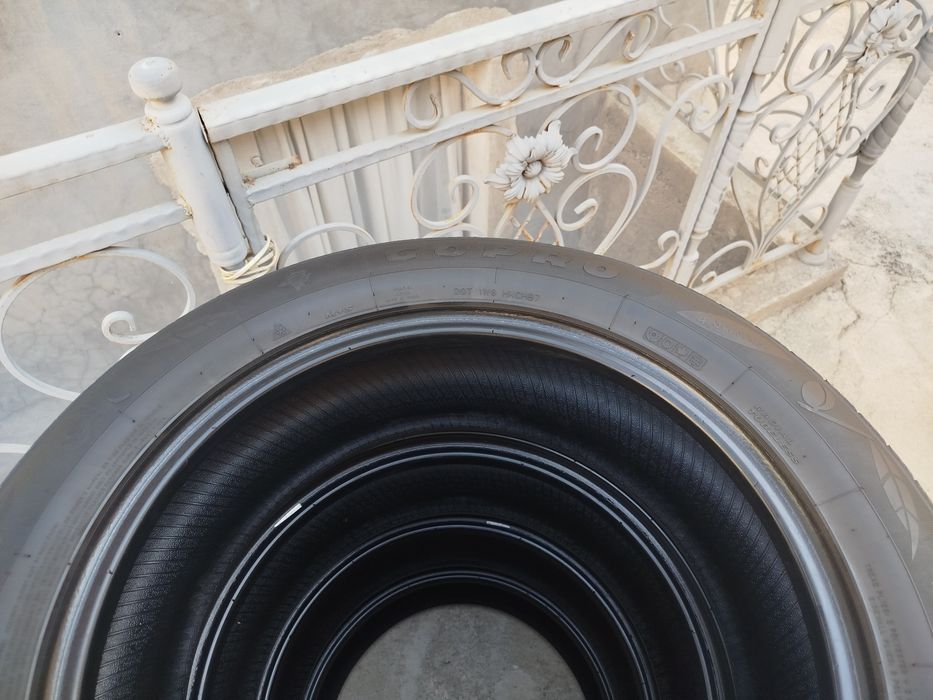 235 55 R19 Shina Gopro