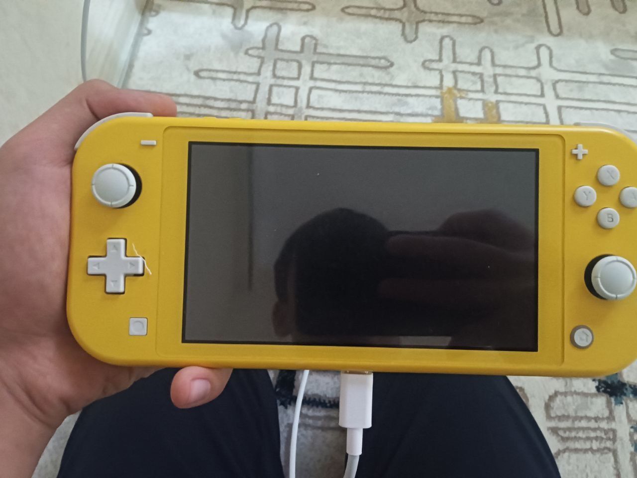 Nintendo switch идеал холата