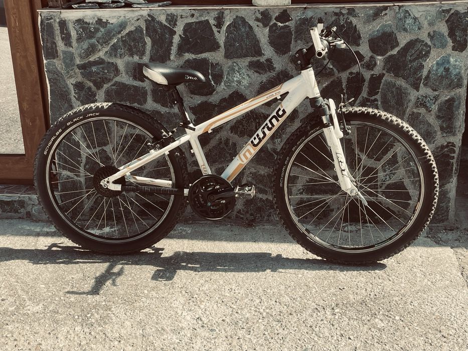 Vand bicicleta fara lant