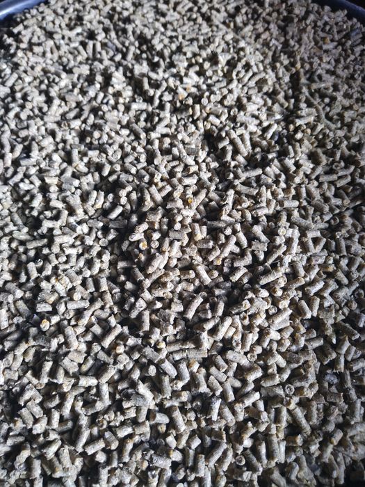 Cereali granulate pentru animale