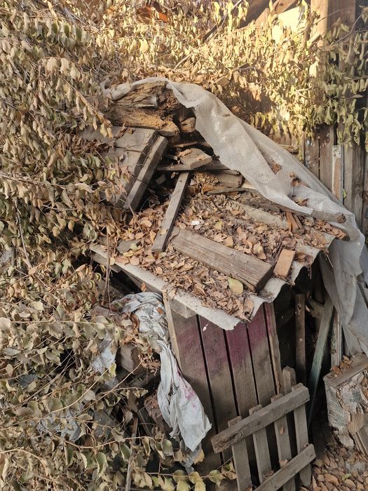 Отдам дрова готовые