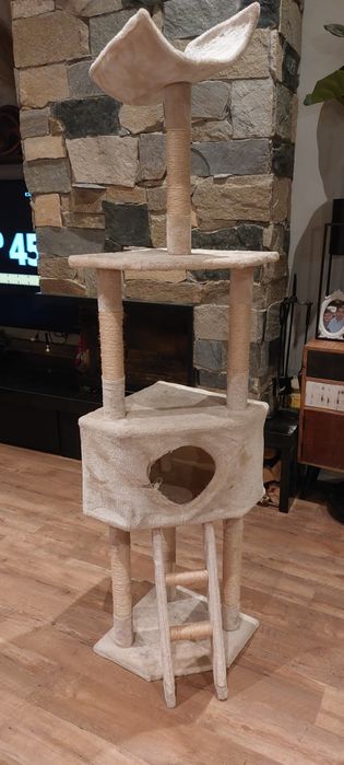 Котешко дърво високо