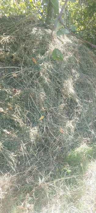 dag'al xashak biyda shamak utlar qara molga toza xashak