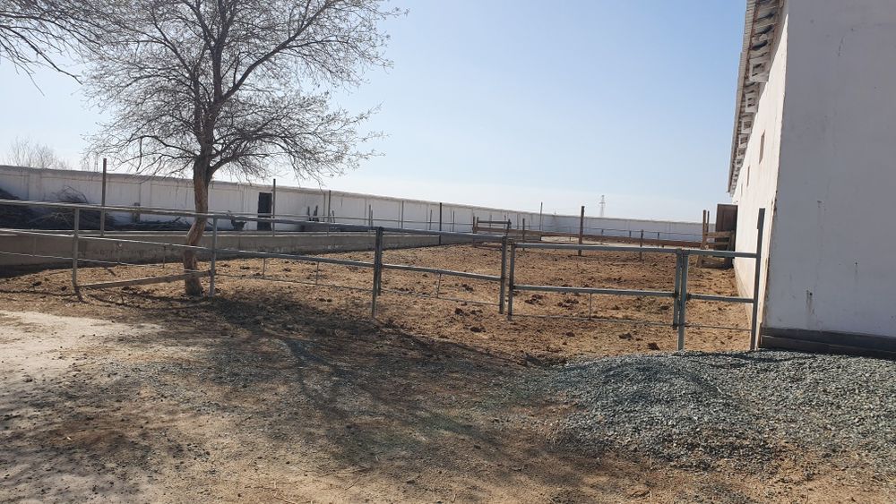 Ферма биноси сотилади.