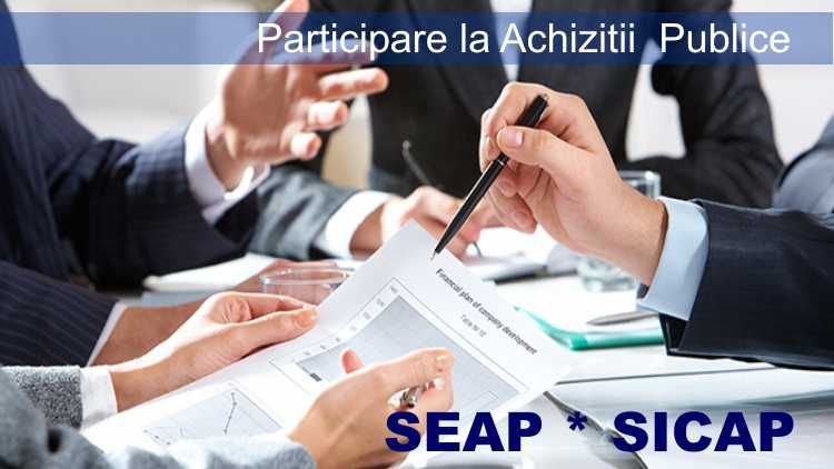Licitații, Devize, Ofertă financiară, Grafice Gantt, SEAP