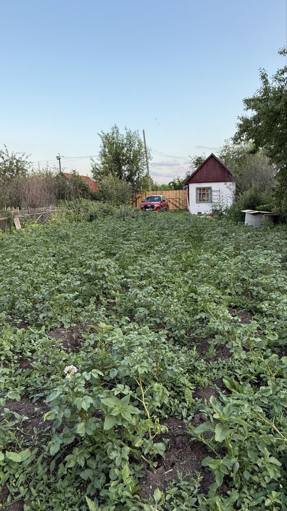 Дача в Боровом в лесу - земля частная 8 соток, дом 25 метров