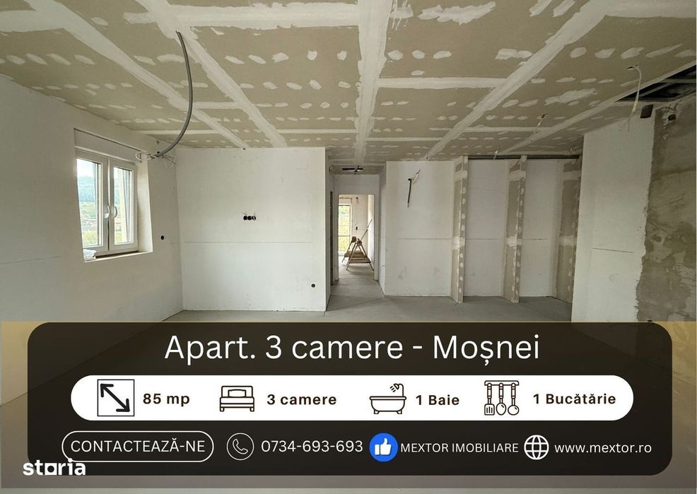 Apartament nou, Moșnei