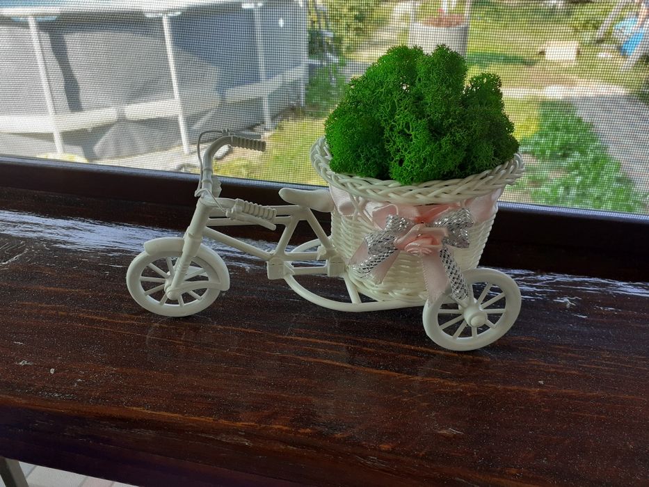 Ornamente cu lichieni