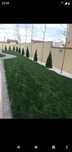 Plante pt exterior