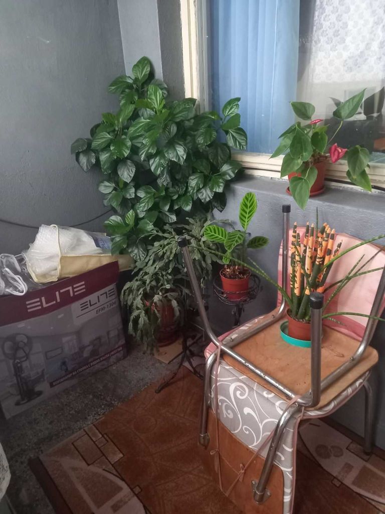 Продава се Двустаен апартамент в Дулово - 70 кв.м за 1041 €/кв.м - Снимка #9