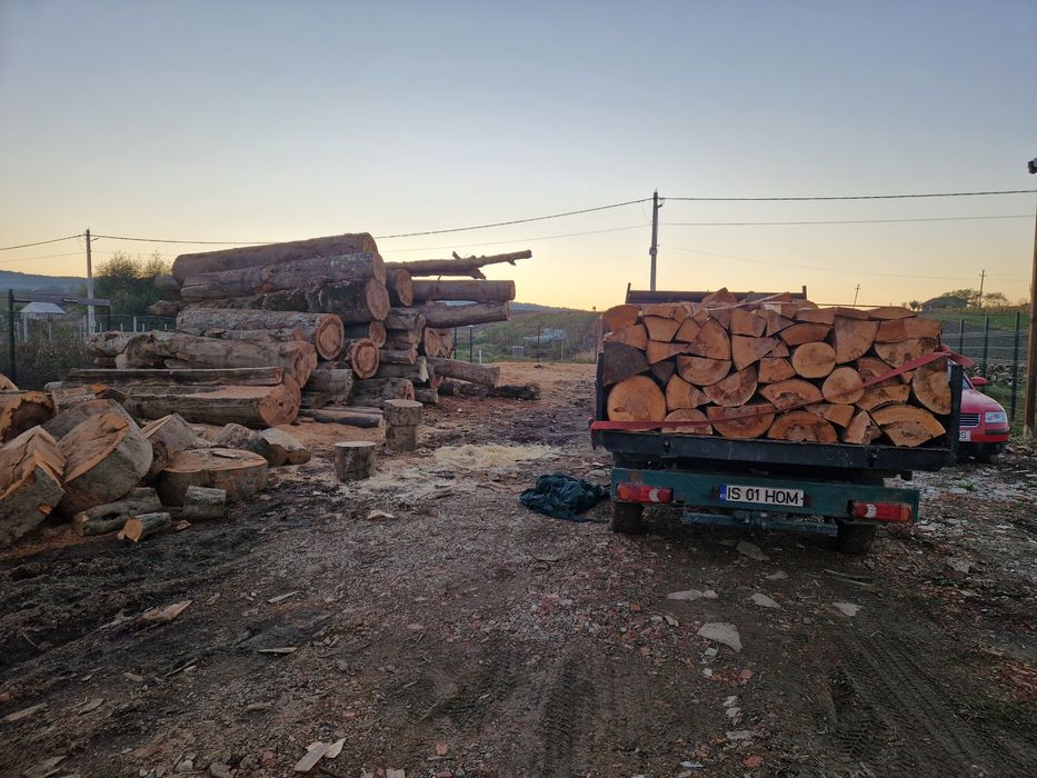 Lemne de foc! Fag esență tare