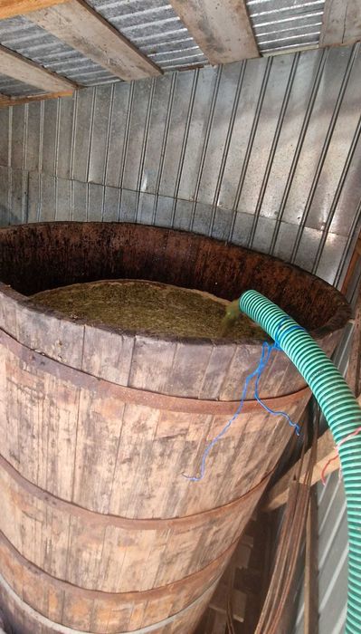 Must de struguri fermentat natural