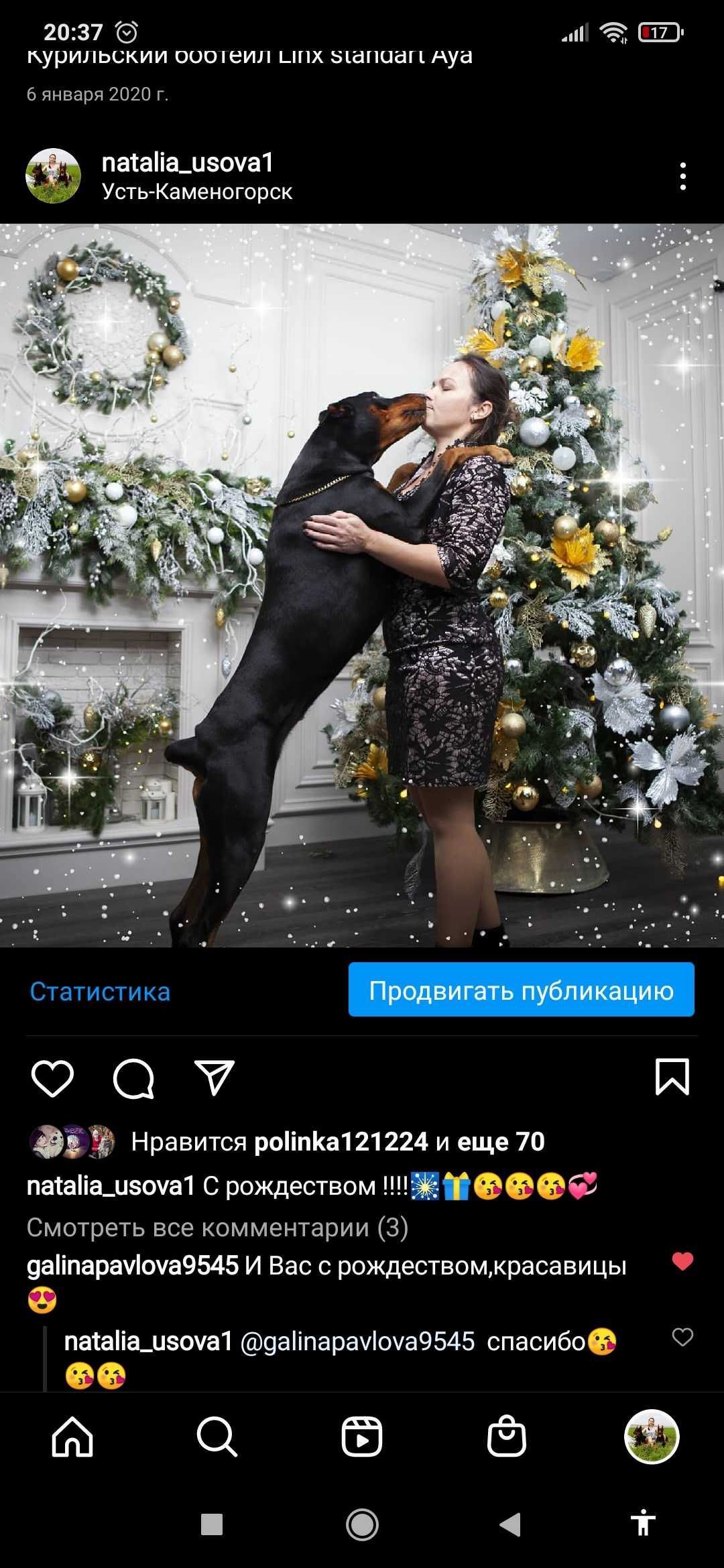 Доберман-фотомодель       .