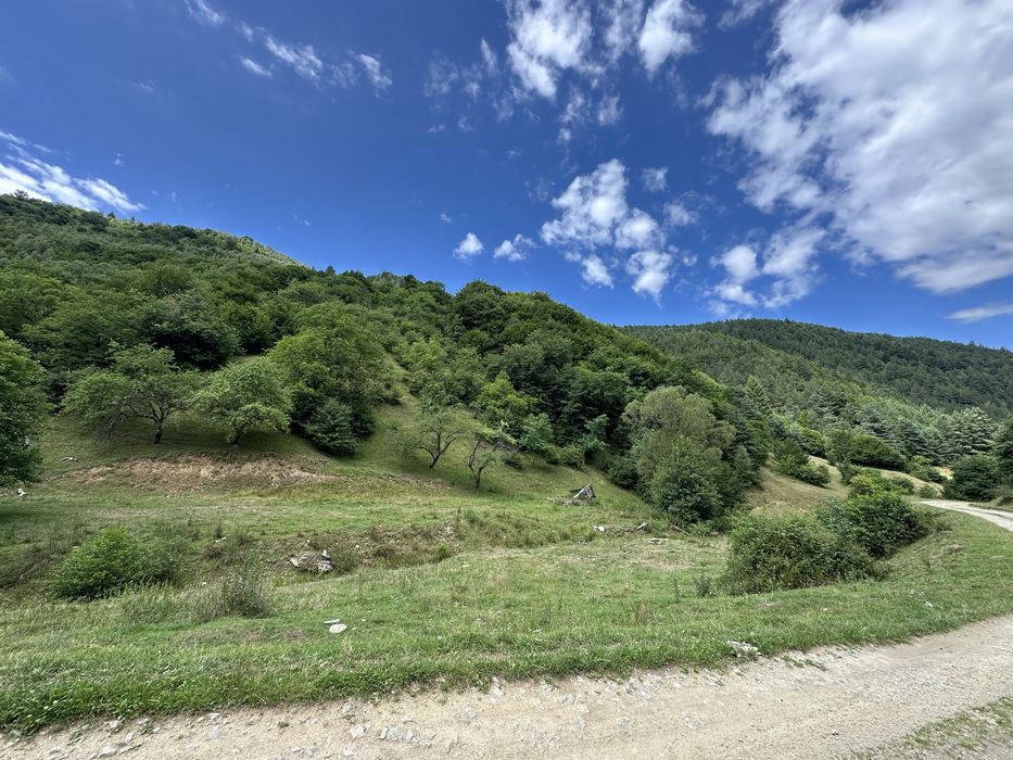 Vand 8534 mp teren in Rasinari Valea Stezii  (Valea Strambului)