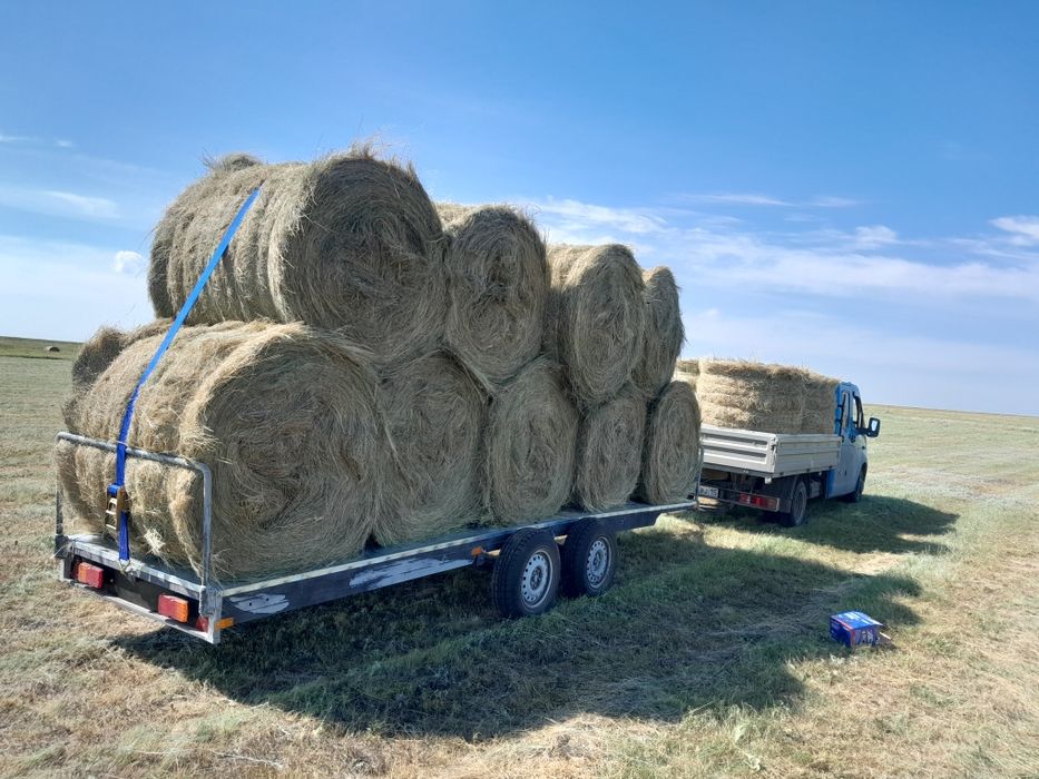 Продам сено, лето 2025 в рулонах, разнотравие. Доставка