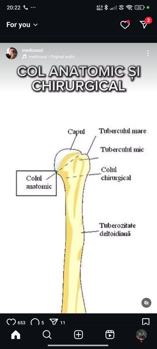 Meditatii admitere medicina Corint