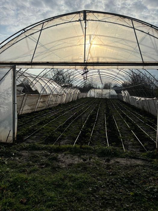 Solar 600 mp cadru metalic dublu