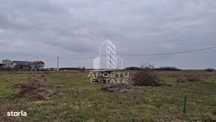 Teren intravilan 500mp Mandruloc