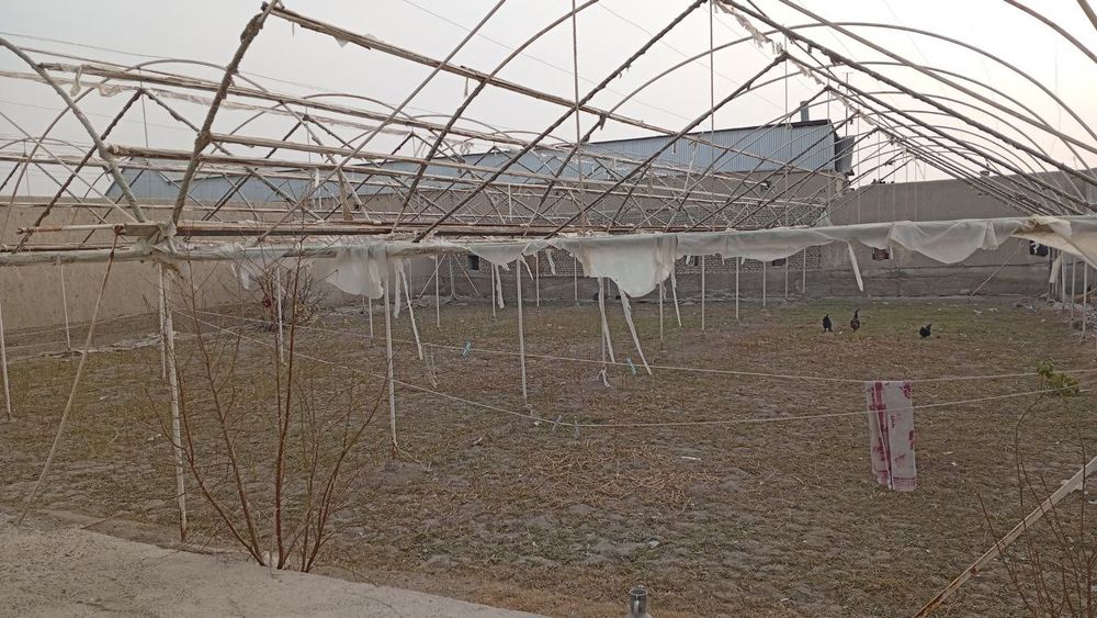 Parnik Teplitsa srochniga sotiladi arzon