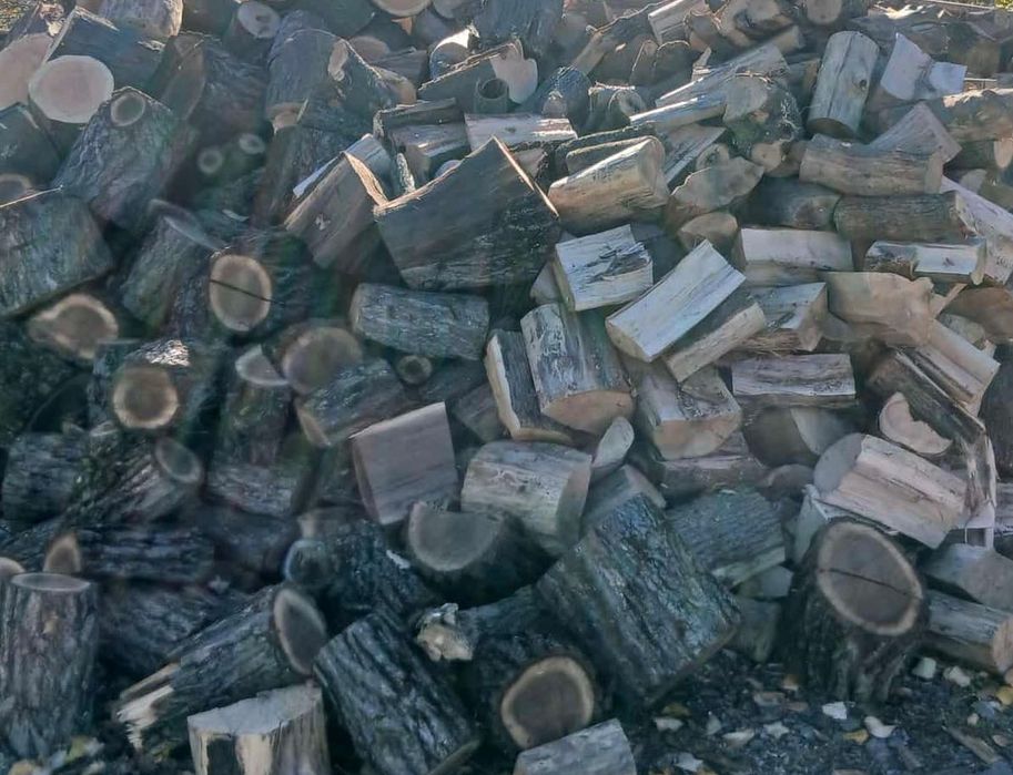 Дърва за огрев :( 1. ТОН 240лв. )