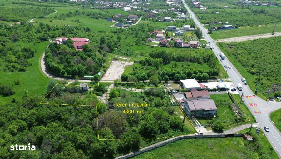 Teren intravilan 4.300 mp - Aninoasa, Dâmbovița | COMISION 0%