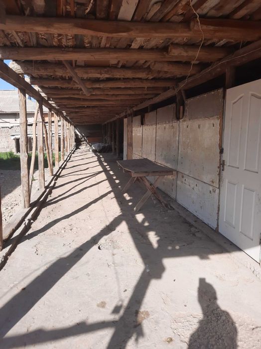 Ферма сотилади келишилган нархда