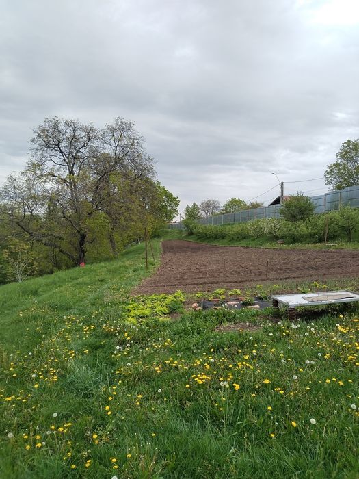 Vând teren intravilan