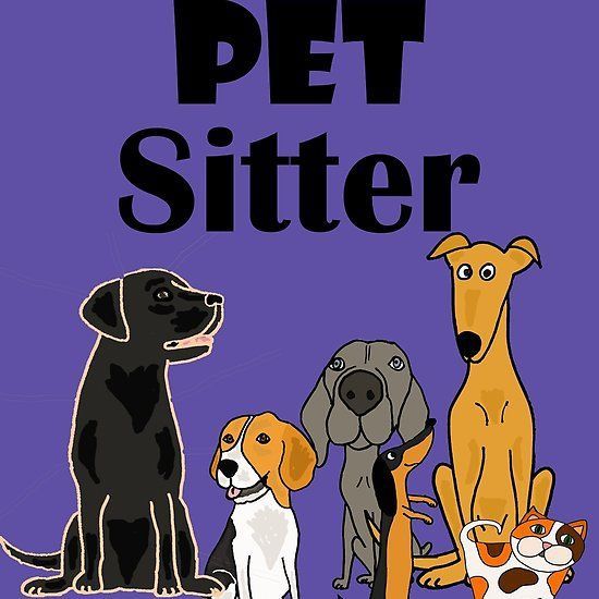 Pet sitter plimb cățeluși am grijă de pisicuțe
