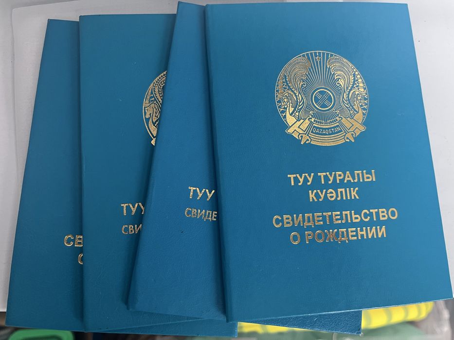 Свид о рождении обложка