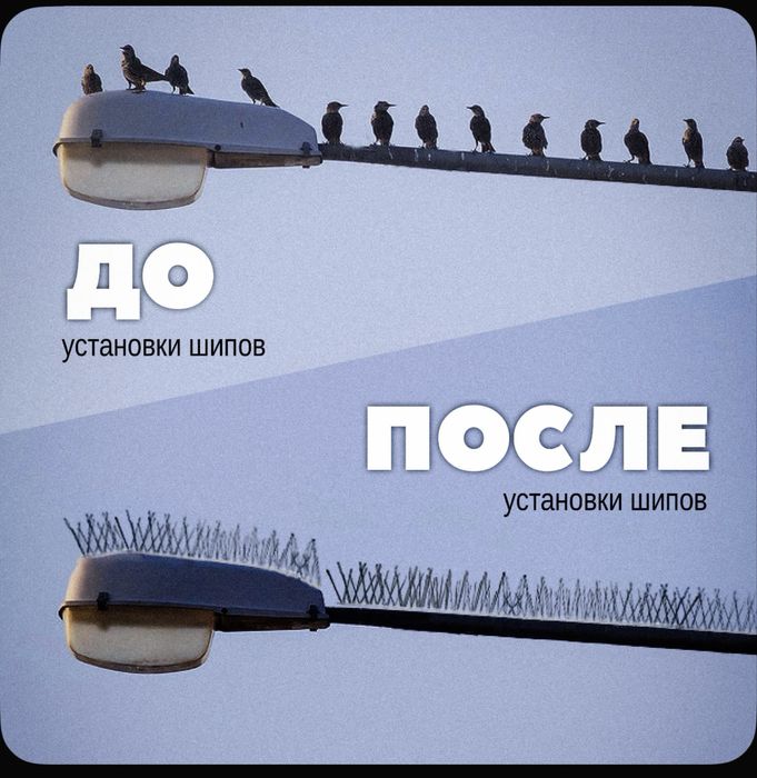 Шипы - от птиц противоусадочные