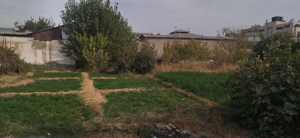 Панжоб 25-соток! Продаётся дом.