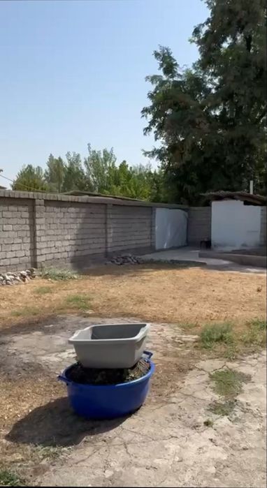 Продаётся земельный участок в Янги базаре