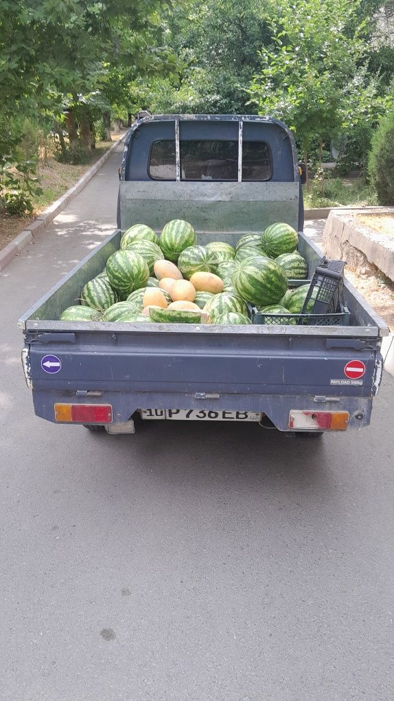Damaz labo sotiladi 2009