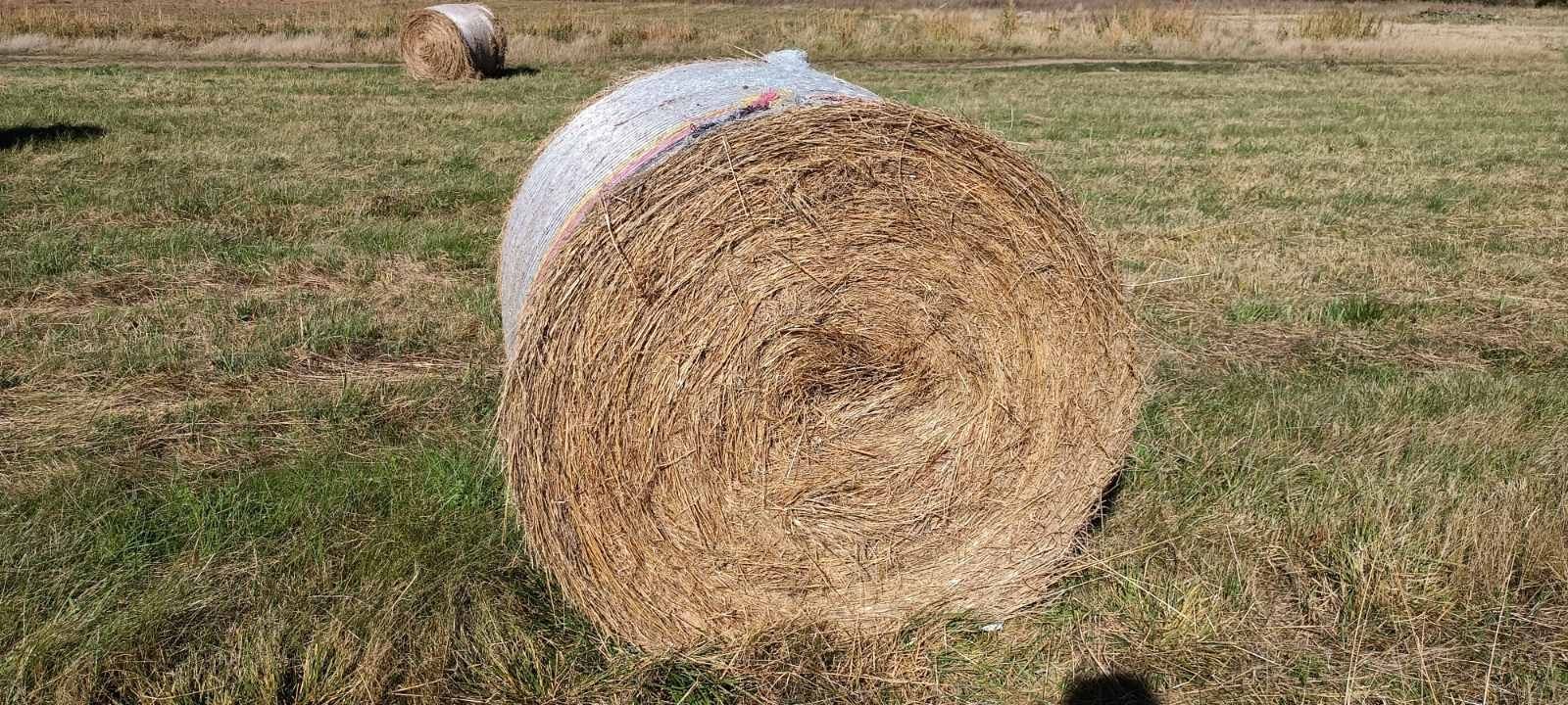 Рулонни бали сено , люцерна (житна,овесена и ечемичена слама)