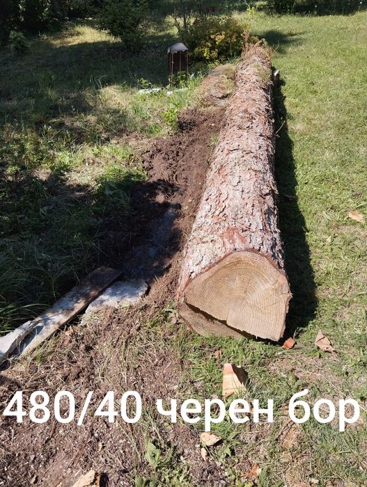 Дървен материал.Секвоя