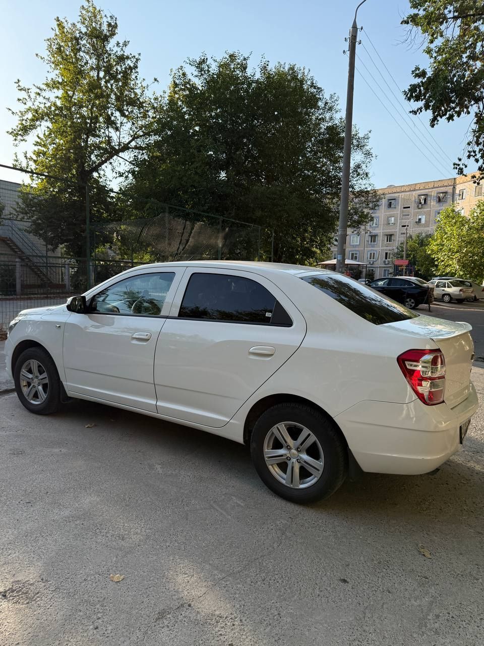 Arenda Vikup Cobalt 2023
