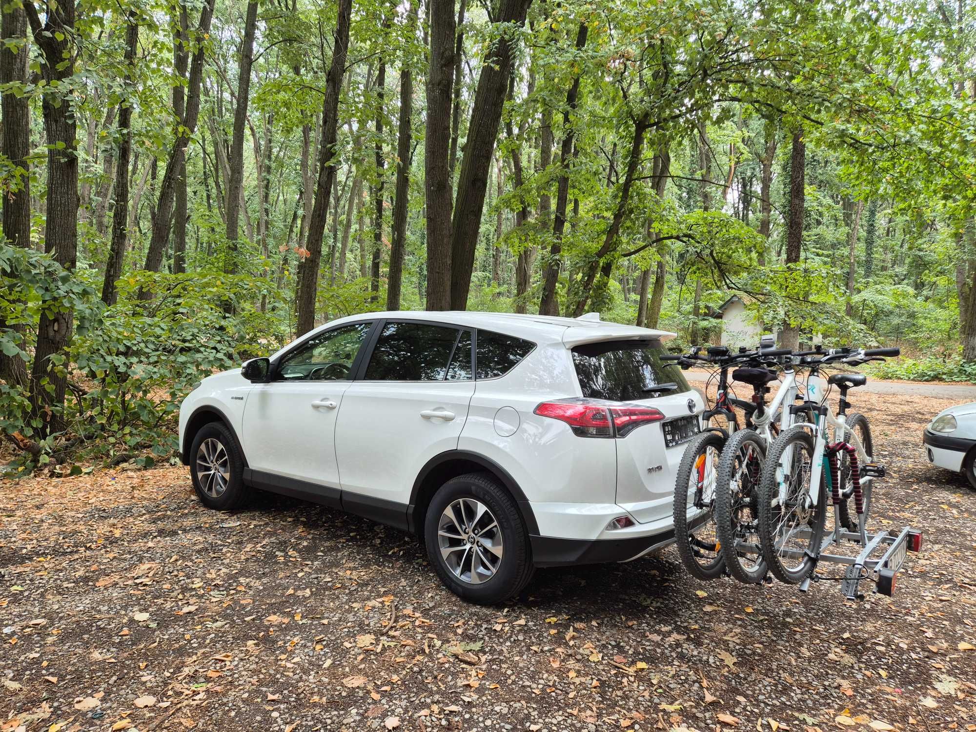 Toyota RAV4 Hybrid 2018 – Consum Mic, Putere Mare, Gata de Plecare!