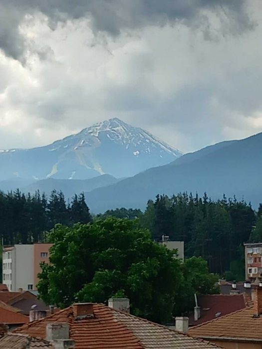 Гарсониера под наем