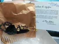 Accesoriu de par cu pieptene