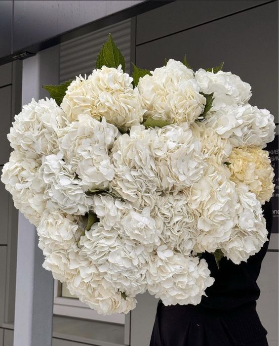 Гортензии Голландия Розы Кустовые розы Эустома Гвоздики